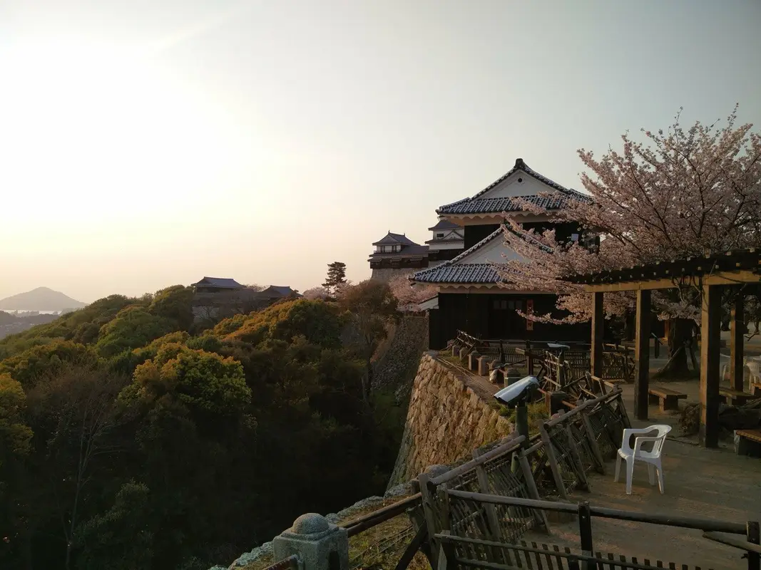 Castello giapponese al tramonto tra i ciliegi in fiore